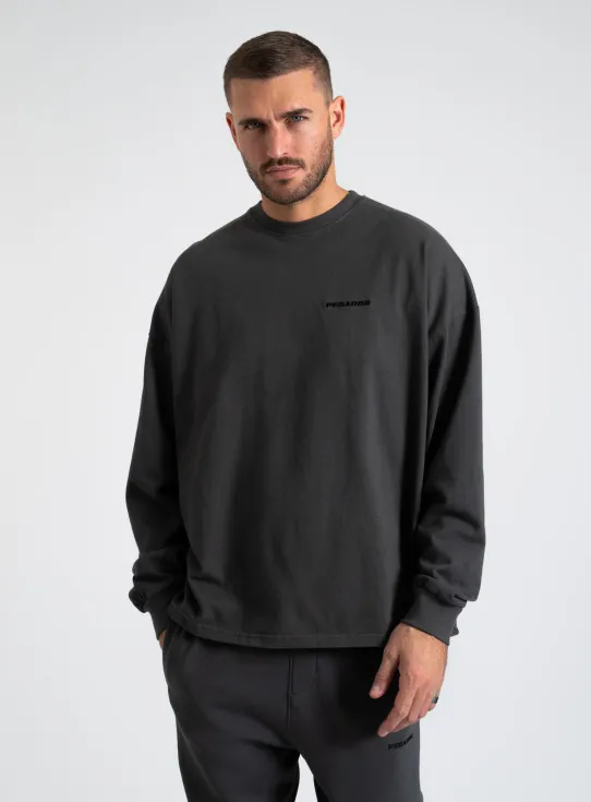 242-PGDR 3996 RUSK LOGO OVERSIZED LS